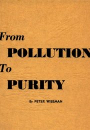 Cover Image - From Pollution to Purity