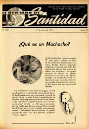 Portada: ¿Qué es un muchacho?, Allan Beck