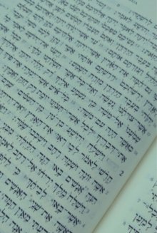 Hebrew Bible Mint Green