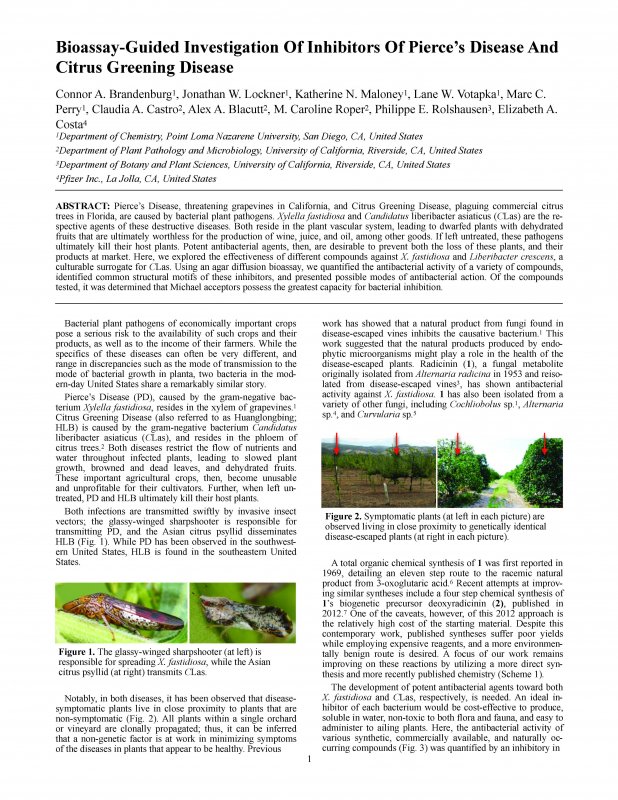 Bioassay-Guided Investigation Of Inhibitors Of Pierce’s Disease And Citrus Greening Disease